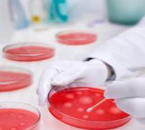 精液检查：衡量男性生育力的重要指标