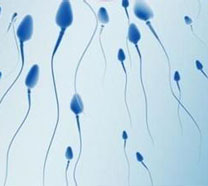 警惕！不育疾病“少精症”